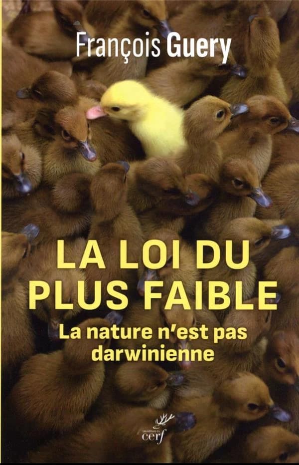 La loi du plus faible