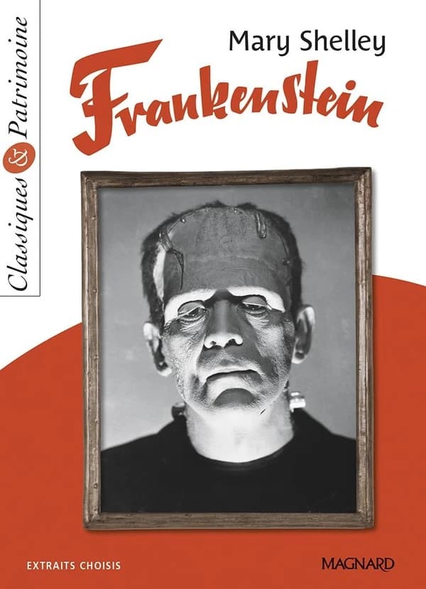 Frankenstein ou Le Prométhée moderne
