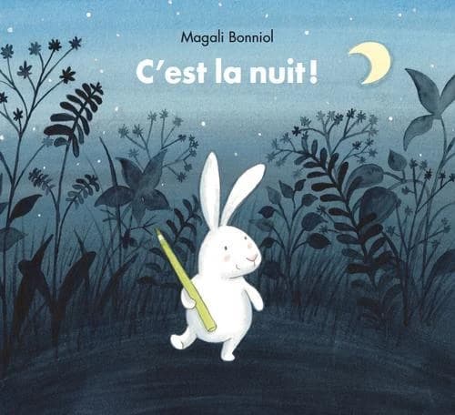 C'est la nuit !