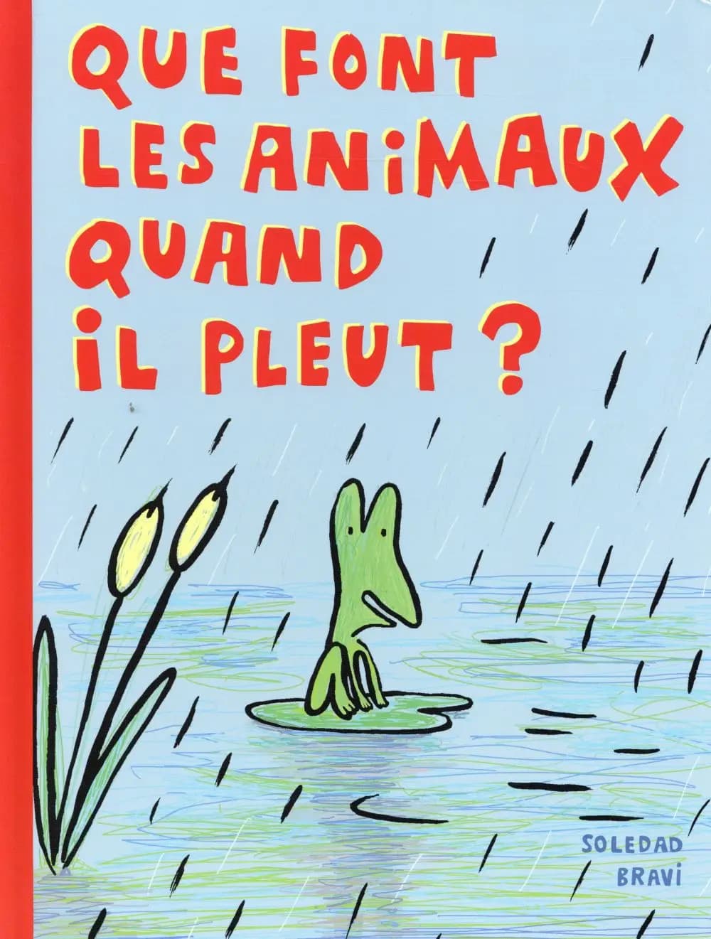 Que font les animaux quand il pleut ?