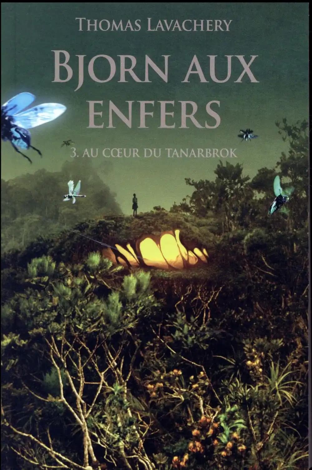 Au coeur du Tanarbrok