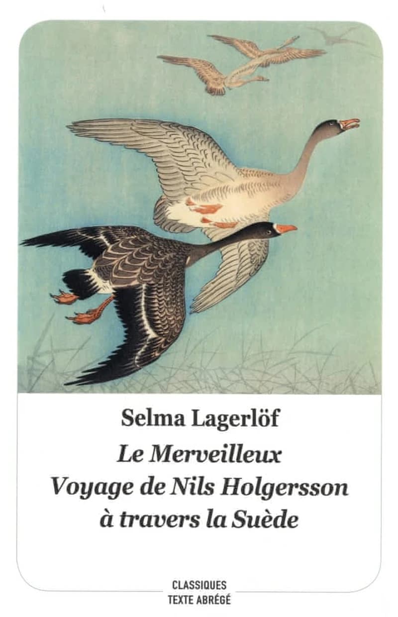 Le merveilleux voyage de Nils Holgersson à travers la Suède