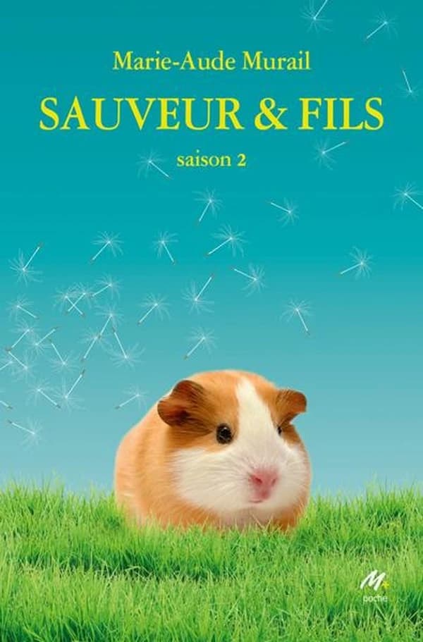Sauveur & fils Saison 2