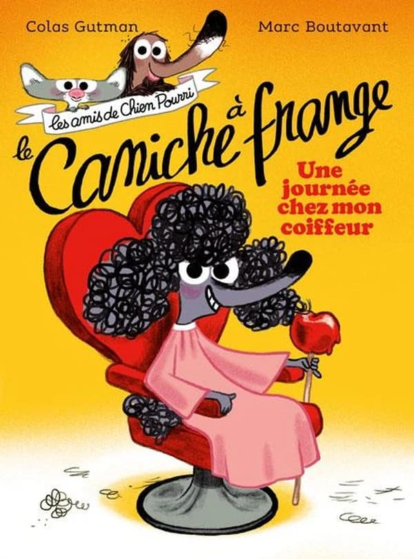 Le caniche à frange : une journée chez mon coiffeur