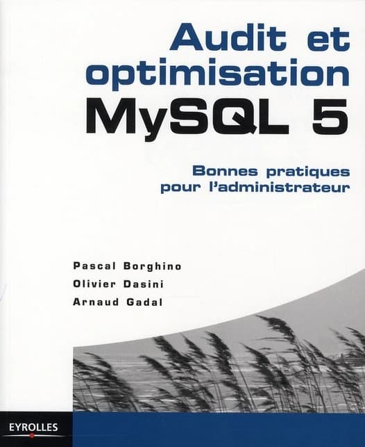 Audit et optimisation MySQL 5 : bonnes pratiques pour l'administrateur