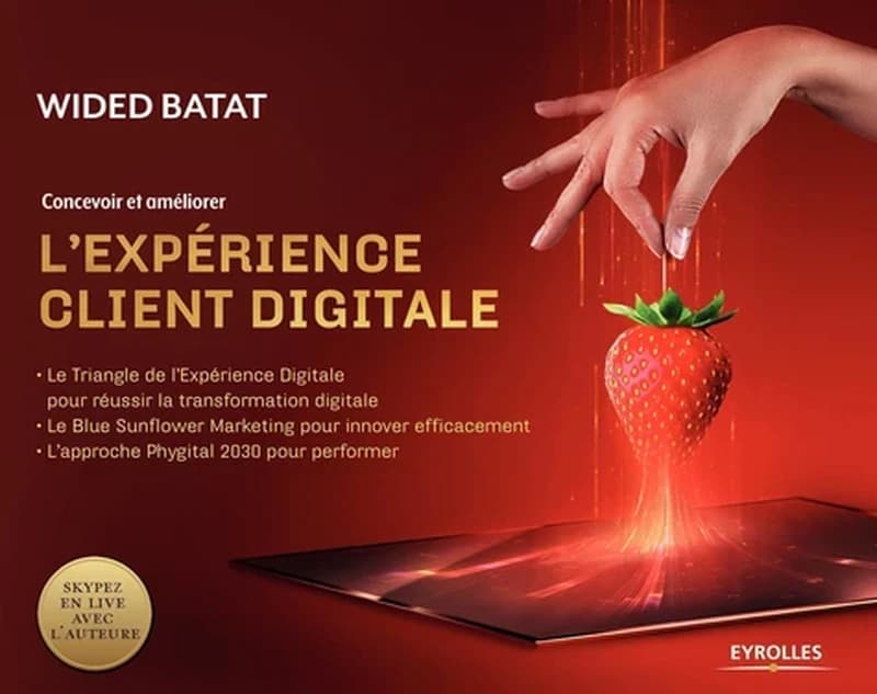 Concevoir et améliorer l'expérience client digitale : le triangle de l'expérience digitale pour réussir la transformation digitale...