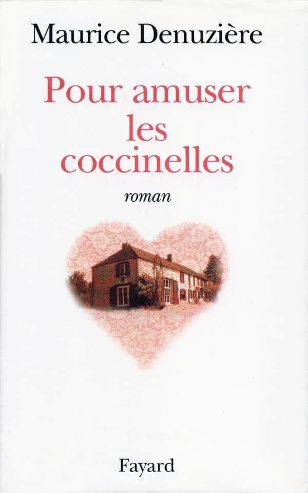 Pour amuser les coccinelles : roman