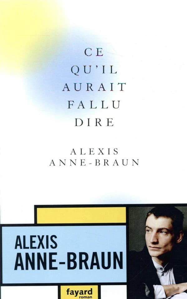 Ce qu'il aurait fallu dire : roman