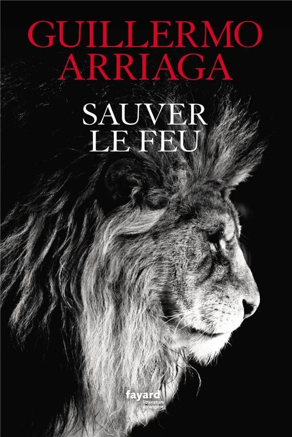 Sauver le feu : roman
