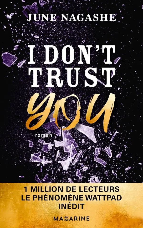 I don't trust you : roman