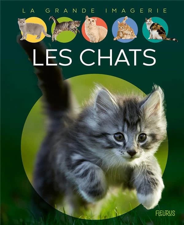 Les chats (4e éd.) textes, Agnès Vandewiele