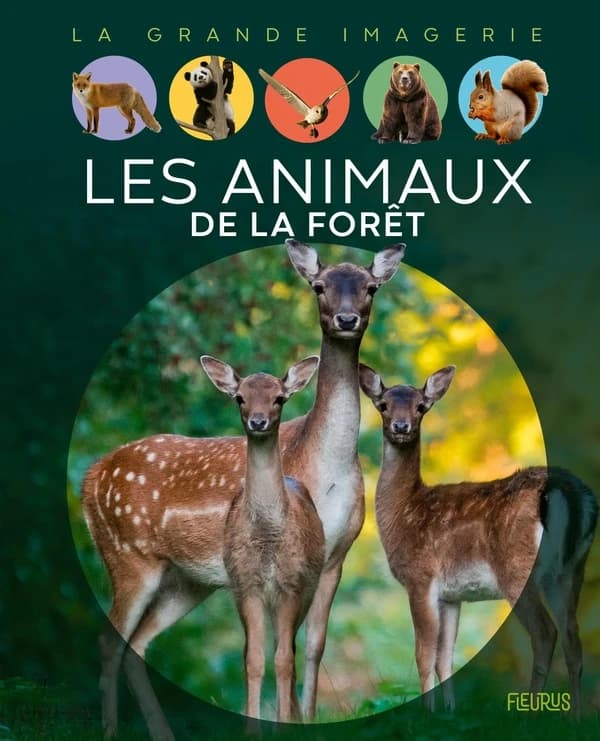 Les animaux de la forêt (2e éd.) textes, Émilie Beaumont