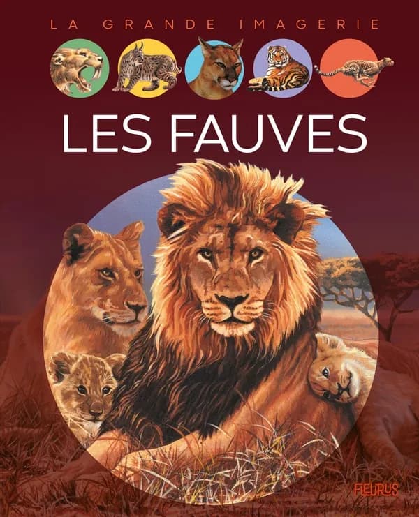 Les fauves (2e éd.) textes, Émilie Beaumont ; illustrations, Gian Paolo Faleschini