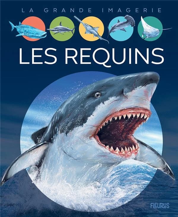 Les requins (2e éd.) textes, Cathy Franco ; illustrations, Jacques Dayan