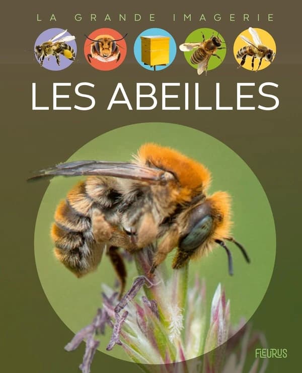 Les abeilles (2e éd.) textes, Sabine Boccador