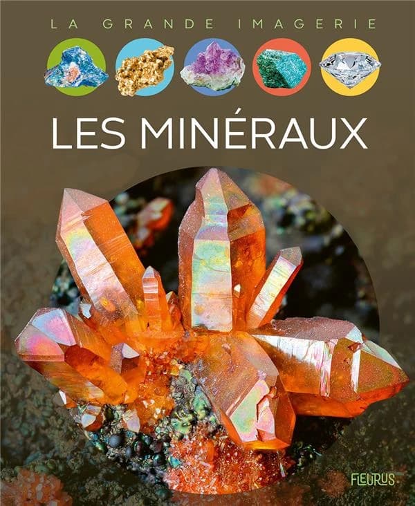 Les minéraux (2e éd.) textes, Philippe Simon ; relecture scientifique, Évelyne Pradal,...