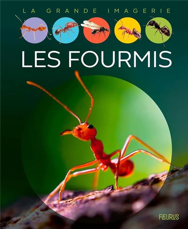 Les fourmis (2 éd.) textes, Sabine Boccador