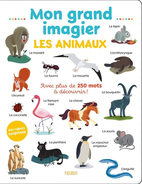 Mon grand imagier : les animaux : avec plus de 250 mots à découvrir !