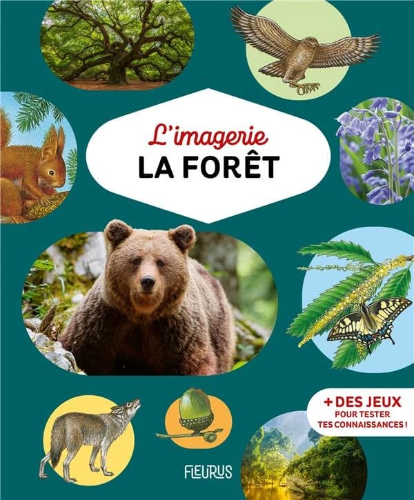 L'imagerie la forêt