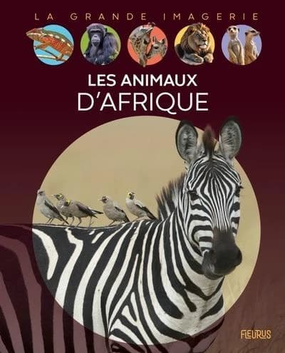 Les animaux d'Afrique
