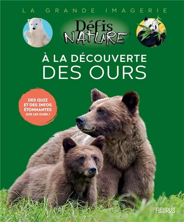 À la découverte des ours