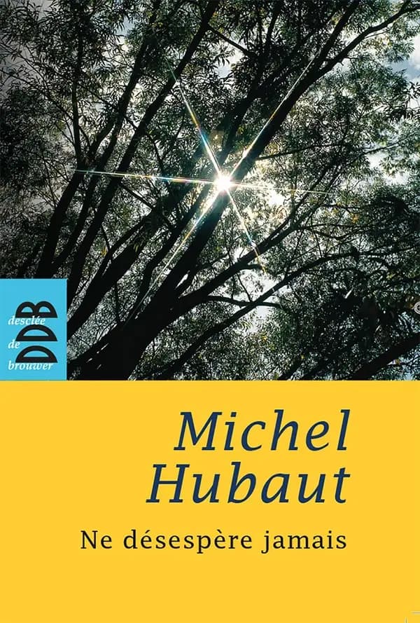 Ne désespère jamais ([Nouvelle éd.]) Michel Hubaut