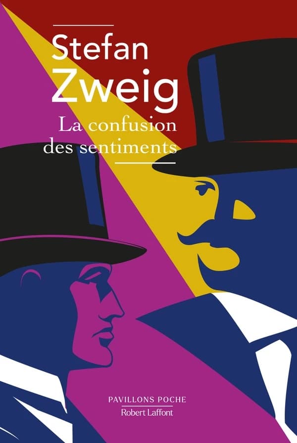 La confusion des sentiments (Nouvelle traduction) Stefan Zweig ; traduit de l'allemand par Tatjana Marwinski