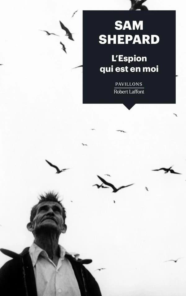 L'espion qui est en moi : roman