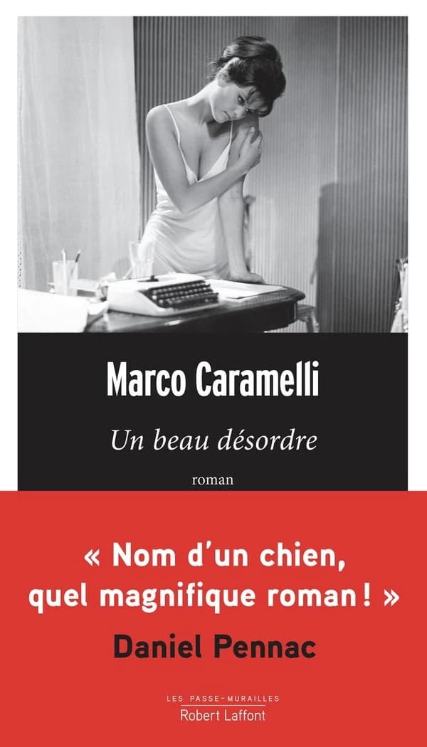 Un beau désordre : roman