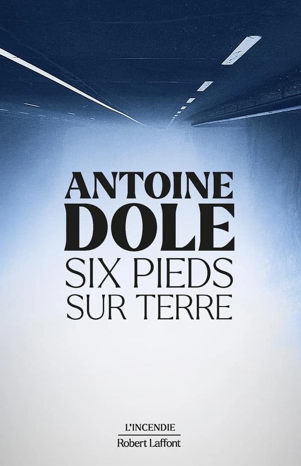 Six pieds sur terre : roman