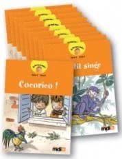 L'araignée sans maison