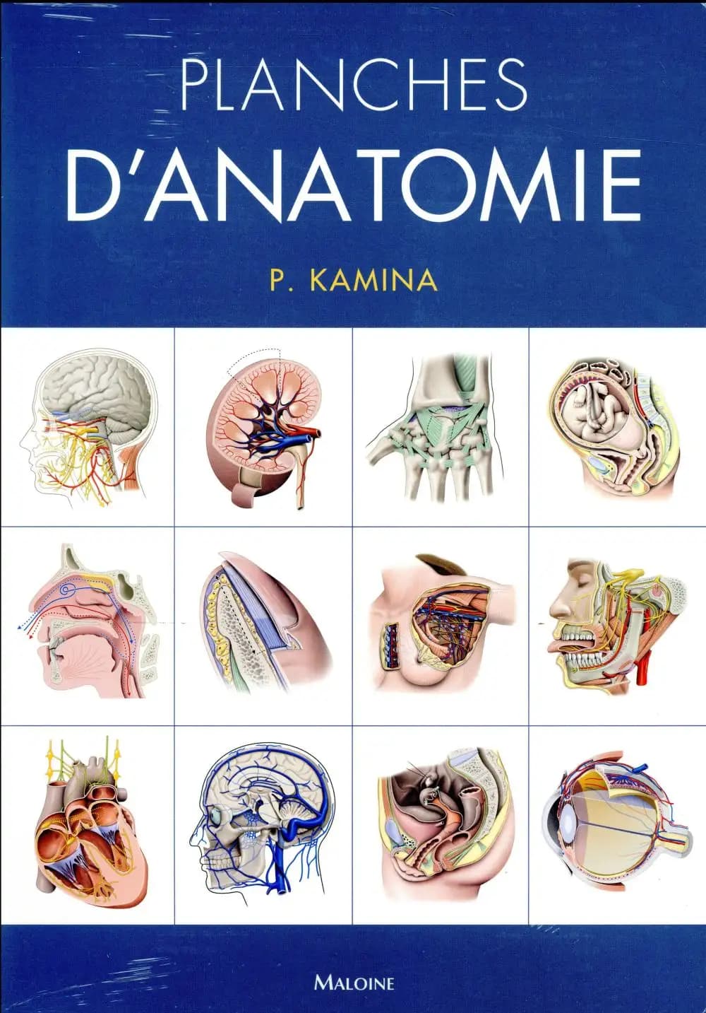 Planches d'anatomie
