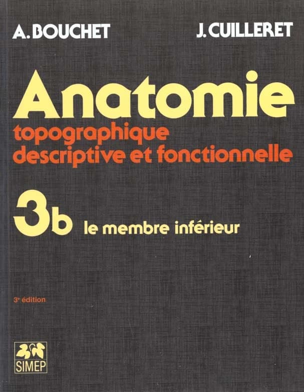 Anatomie. 3. b, Le membre inférieur : topographique, descriptive et fonctionnelle