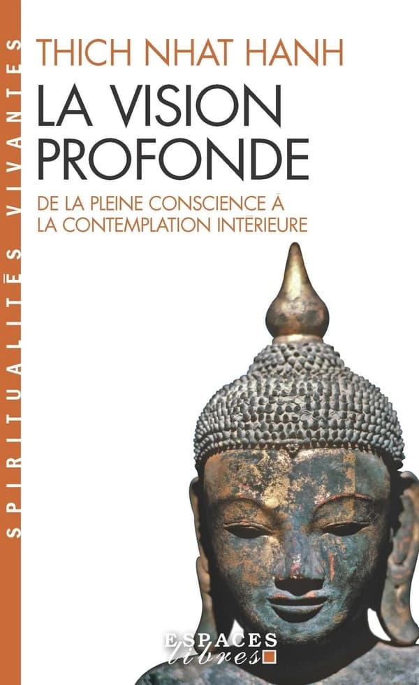 La vision profonde : de la pleine conscience à la contemplation intérieure