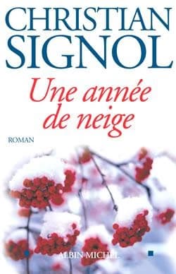 Une année de neige : roman