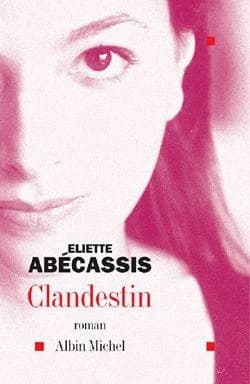 Clandestin : roman