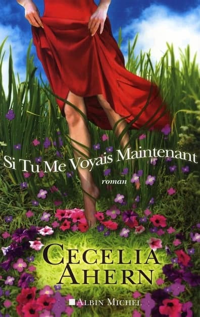 Si tu me voyais maintenant : roman