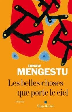 Les belles choses que porte le ciel : roman