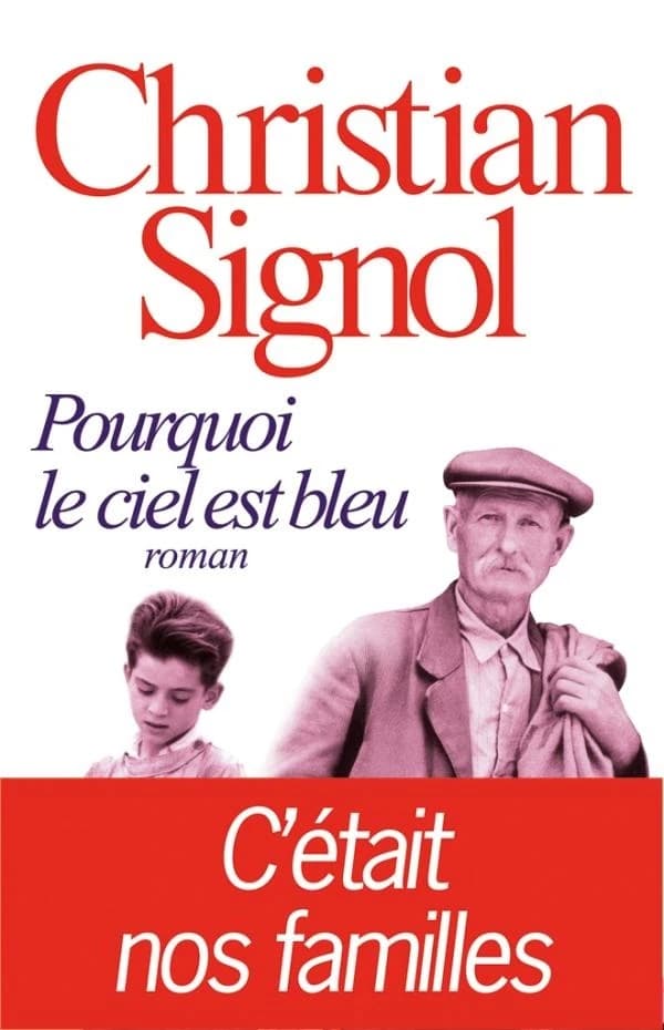 Pourquoi le ciel est bleu : roman
