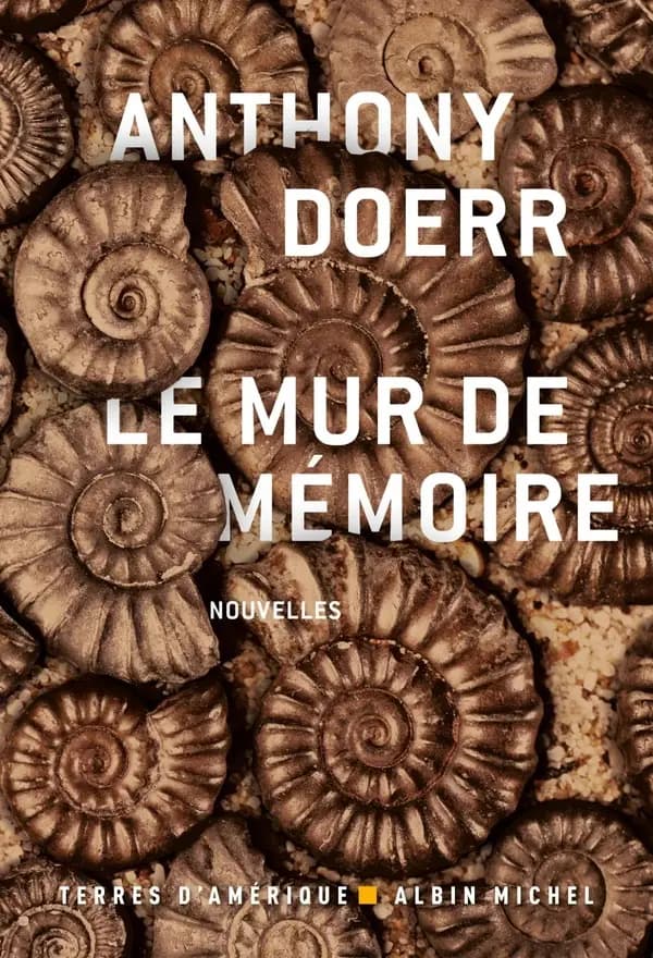 Le mur de mémoire : nouvelles