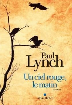 Un ciel rouge, le matin : roman