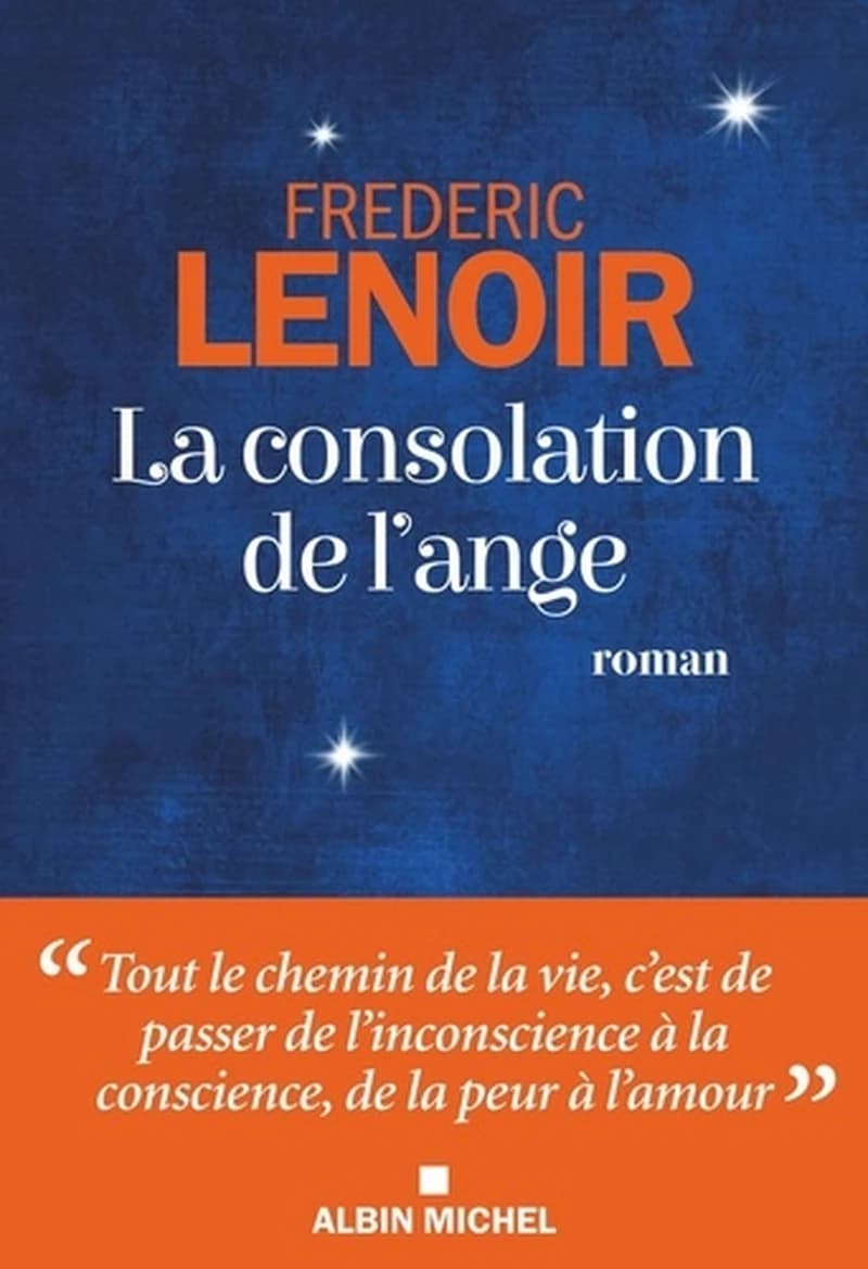 La consolation de l'ange : roman
