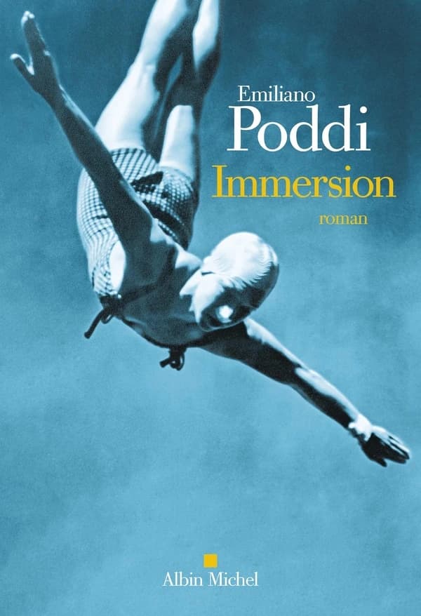 Immersion : roman
