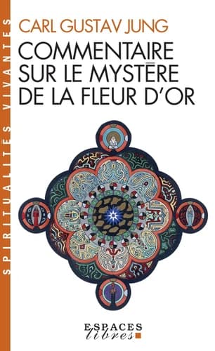 Commentaire sur le "Mystère de la fleur d'or"