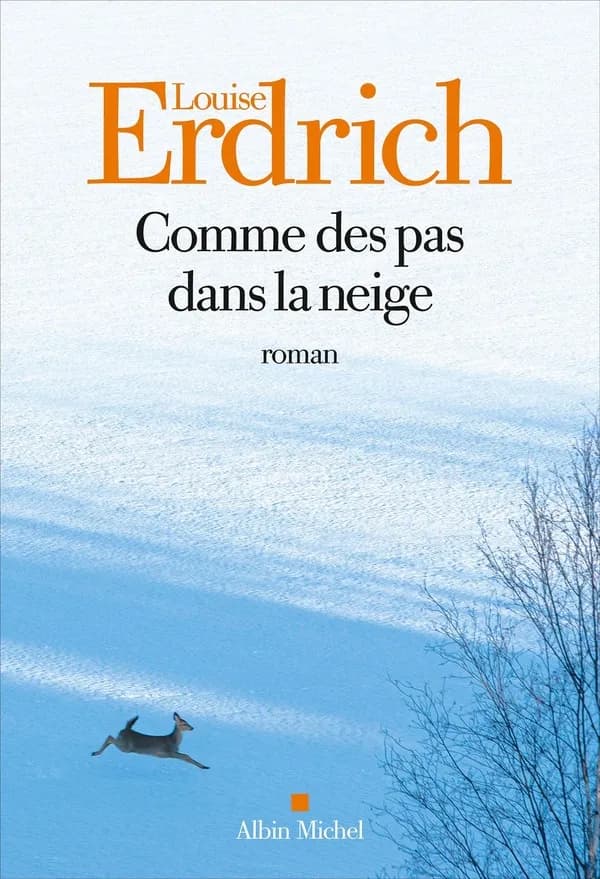 Comme des pas dans la neige : roman