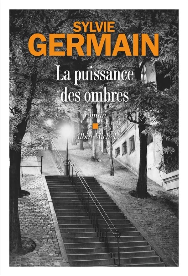 La puissance des ombres : roman