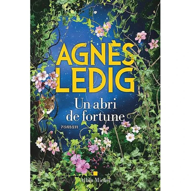 Un abri de fortune : roman