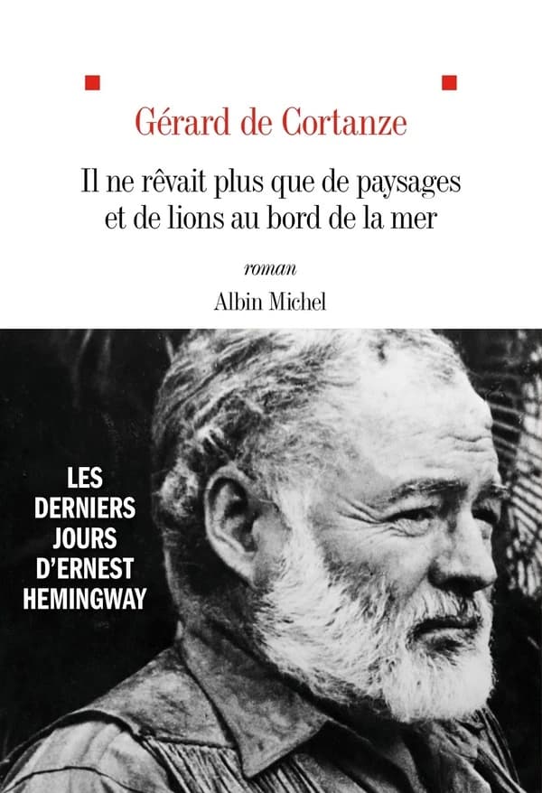 Il ne rêvait plus que de paysages et de lions au bord de la mer : roman