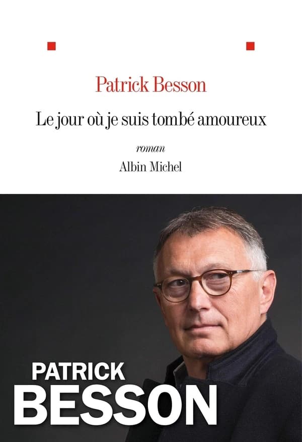 Le jour où je suis tombé amoureux : roman