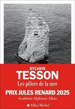 Les piliers de la mer